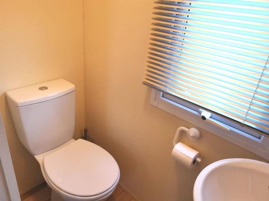 Charming Static Caravan Dawlish Esterno foto